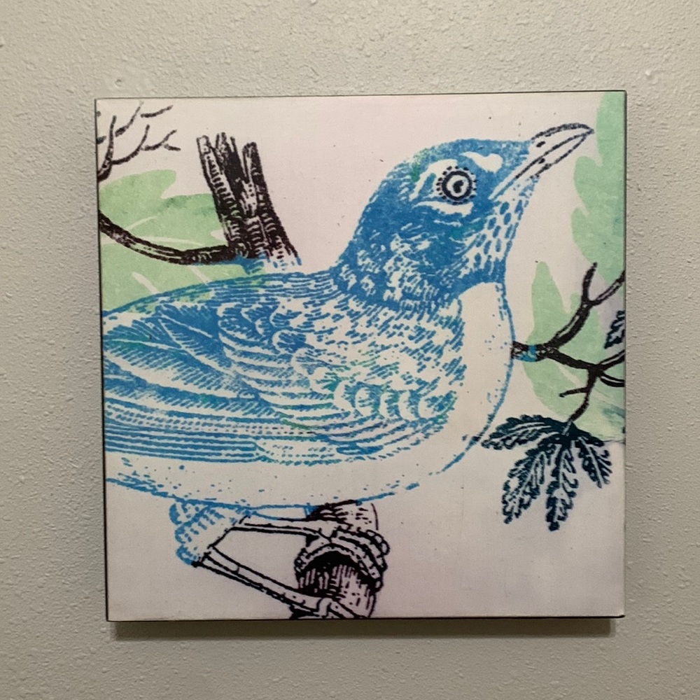 Blue Bird picture.